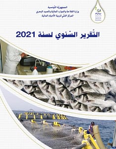 Rapport Annuel d'Activité Rapport Annuel d'Activité