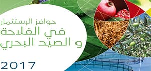 Incitations Financières Incitations Financières