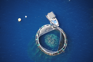 Création d'un Projet Aquacole Création d'un Projet Aquacole